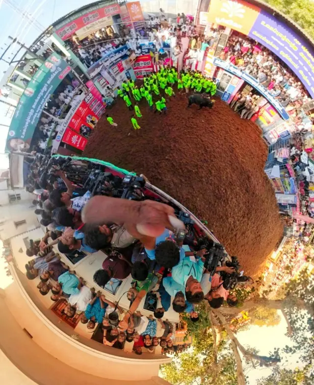 ஜல்லிக்கட்டு