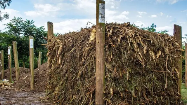 Kinyume na mbolea ya madini, mbolea vunde inaweza kutunza muundo wa udongo kwa kuongeza mbolea yenye bakteria wa uozo