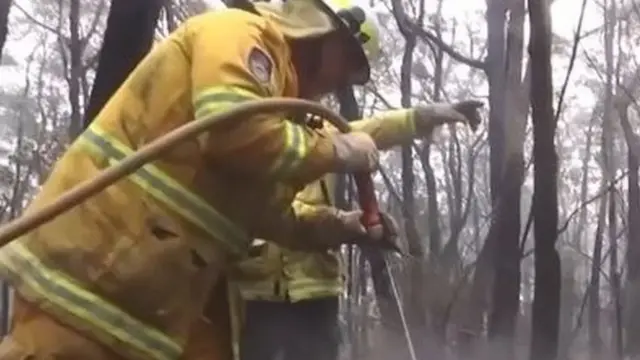 Australia, kebakaran hutan