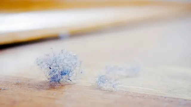 Pelusa de polvo sobre el suelo.