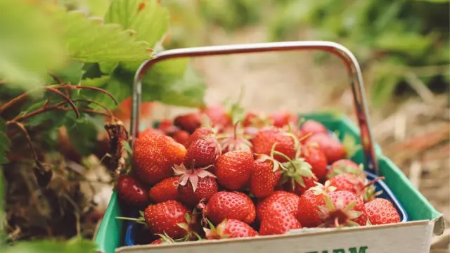 Корзинка с клубникой