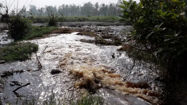 पश्चिमी उत्तर प्रदेश, जल संकट, पानी