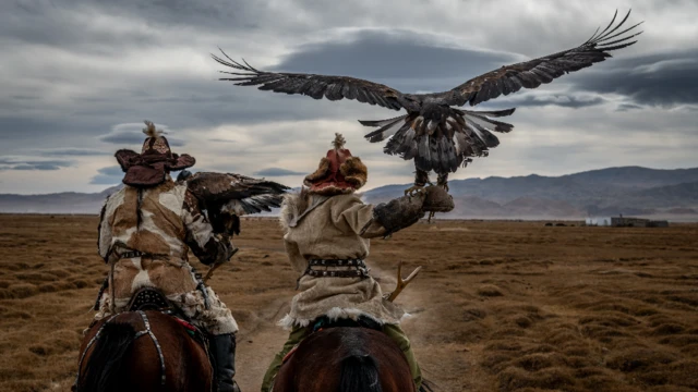 Maza biyu akan doki daya daga ciki dauke da mikiya a hannunsa a Mongolia