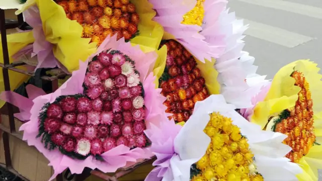 ብልቢ ቅርፂ ዝተዳለዉ ዕምበባታት