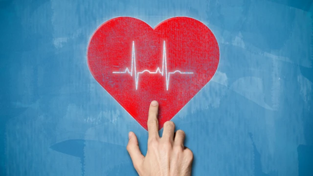 Ilustración del corazón