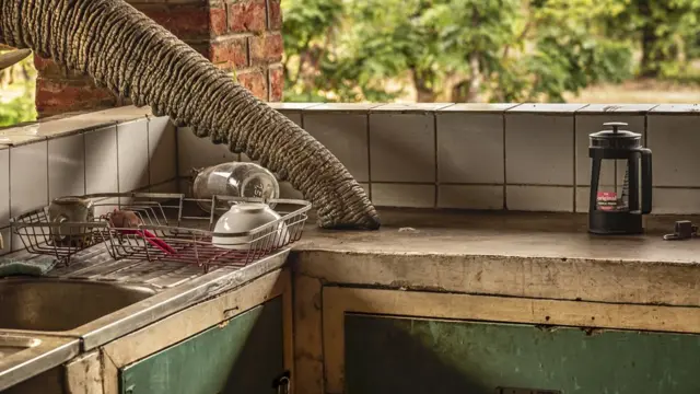 BigPicture Natural World Photography Competition