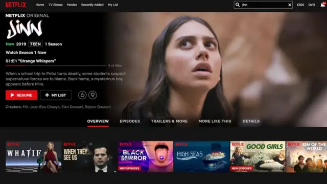 نتفلیکس در سالهای اخیر به یکی از مهم‌ترین شرکت‌های تولید سریال‌های تلویزیونی در جهان تبدیل شده است