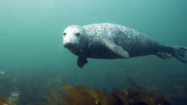 foto yang menyejukkan