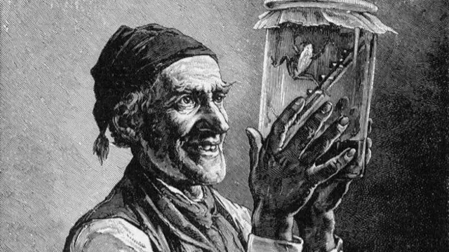 병안에 든 개구리의 움직임을 보고 판단 했던 날씨