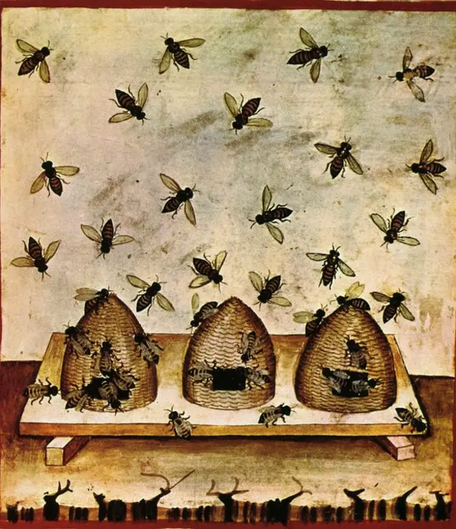 Apicultura en ilustración del siglo XIV.