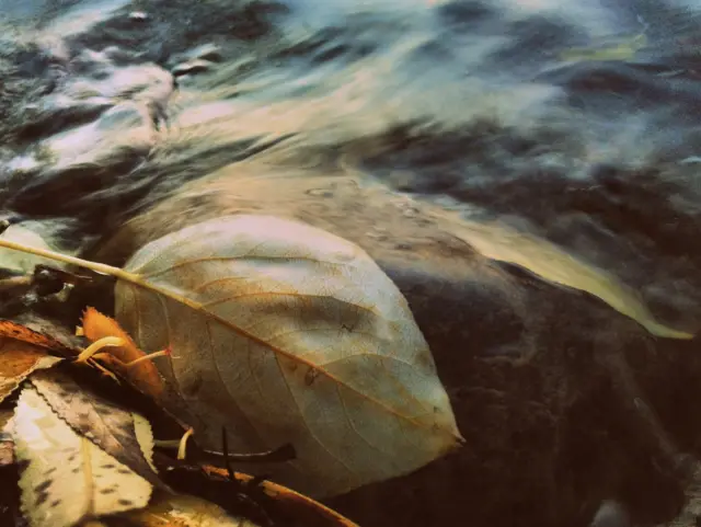 "Оттенки осени"