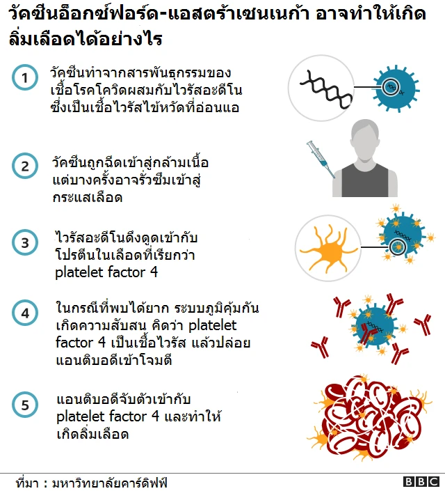 วัคซีนอ็อกซ์ฟอร์ด-แอสตร้าเซนเนก้าอาจทำให้เกิดลิ่มเลือดได้อย่างไร