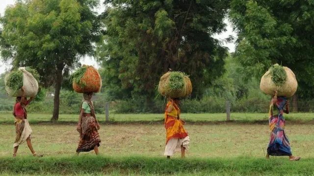 ખેતરમાં મહિલાઓની તસવીર