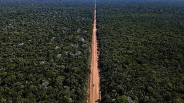 A estrada BR-319 hoje7games baixar o aplicativo apkdia vista do alto — um rasgo no meio da floresta