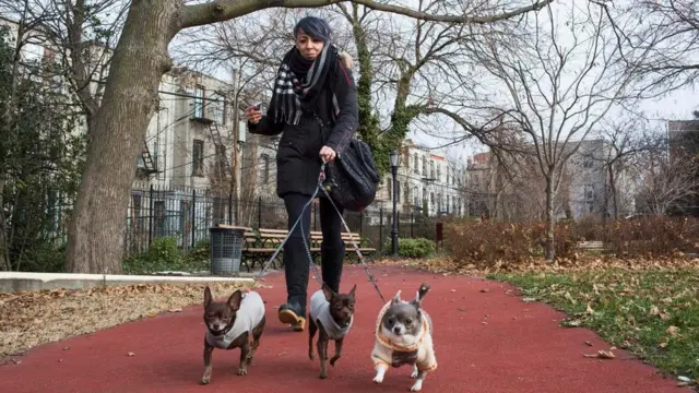 वनीसा मोनरॉय