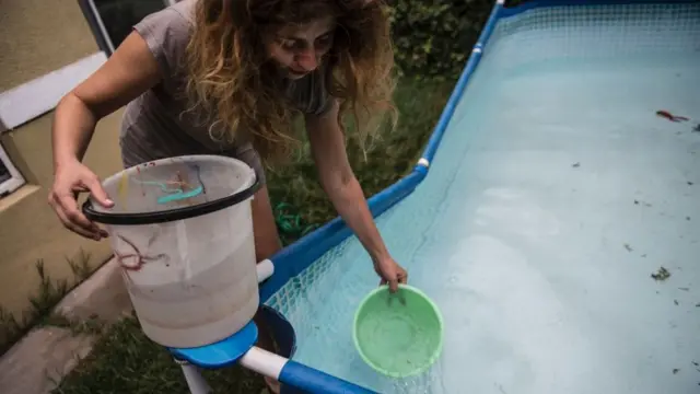 Вода у Чилі