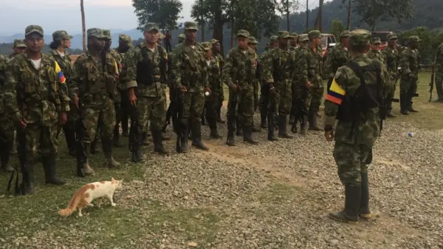 Wanachama wa FARC wakishauriwa na kamanda wao
