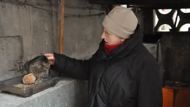 Жінка гладить кота