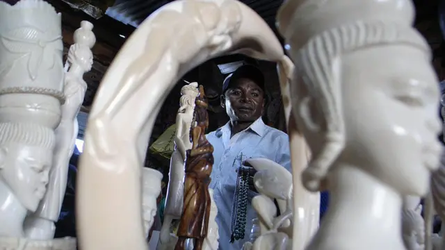 जलगैँडाको दाह्रा पनि हात्तीका दाह्राजस्तै सजावटका सामग्री बनाउन प्रयोग गरिन्छ