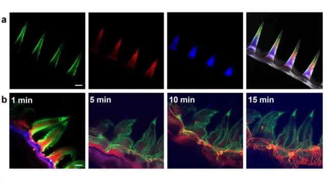 Схема работы линз