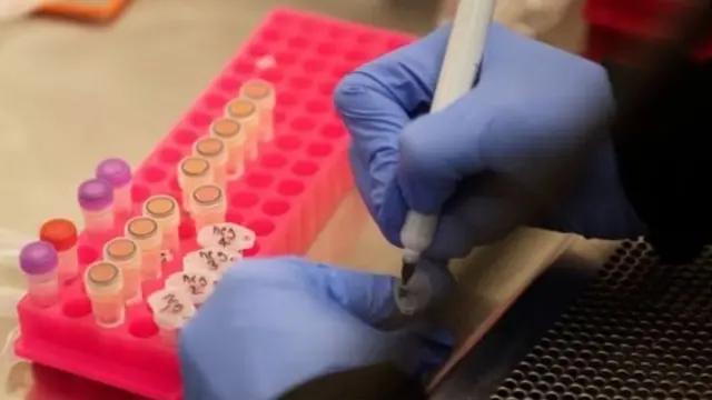 कोरोना, औषध