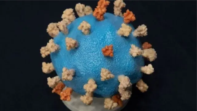 કોરોના વાઇરસ