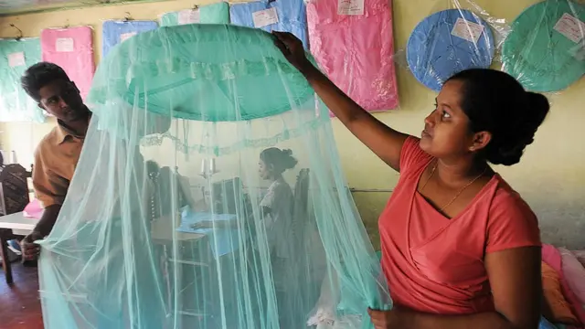 கொசு வலை