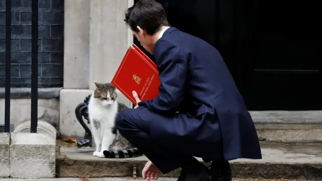 Рорі Стюарт