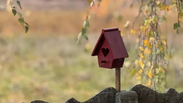 Подвір'я блогерів