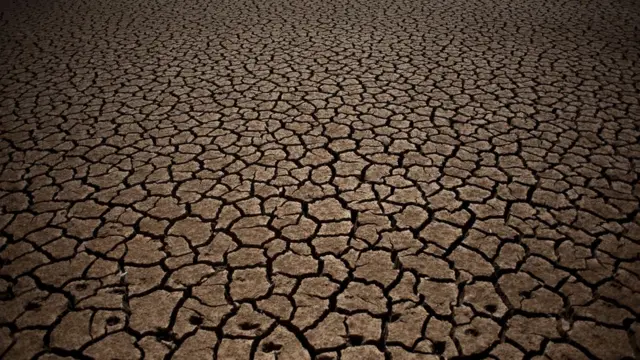 سوکھی زمین