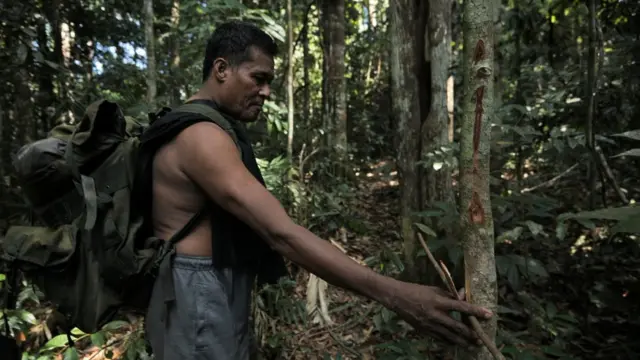 Mawi menunjukkan tanda bahwa di sekitar wilayah itu terdapat perangkap jerat.