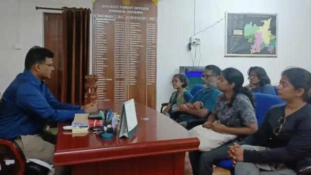 மஞ்சள் எறும்புகள்