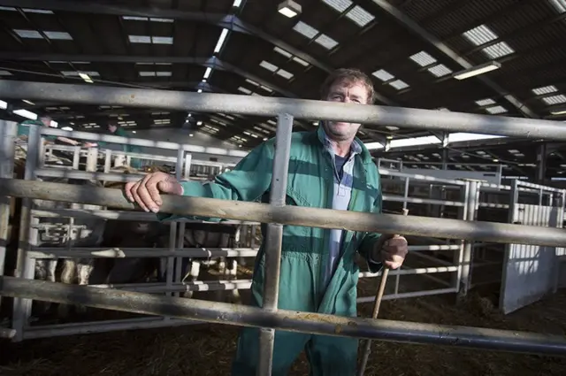 पशु मेला