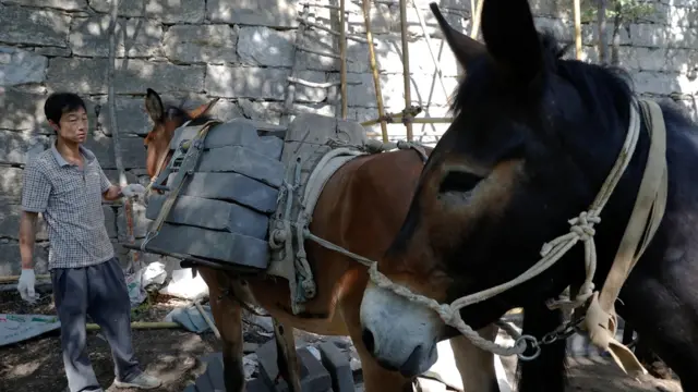 ترمیم دیوار چین