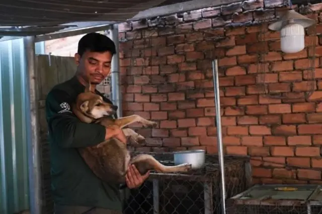 Humane Society International relocated the dogs to a new home after Mr. Dao Van Cuong's dog meat restaurant in Trang Bom district, Dong Nai province closed on November 17.
องค์กร HSI ได้ย้ายสุนัขไปยังบ้านหลังใหม่หลังจากร้านอาหารของนายเกืองใน อ.จาง บอม ปิดไปเมื่อวันที่ 17 พ.ย. ที่ผ่านมา