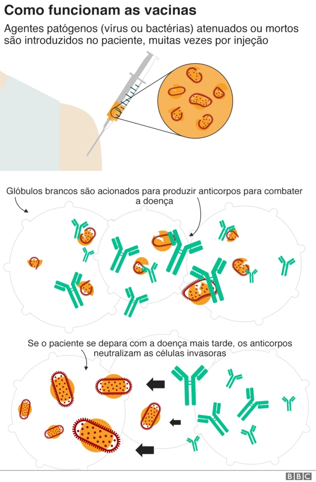 grafico