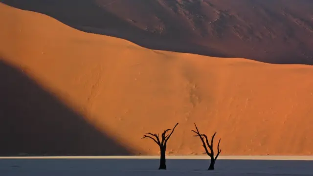 Sand dunes in the Namibian desert