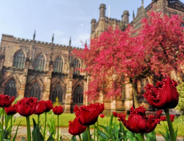 Red flowers with Chester Cathedral in the background