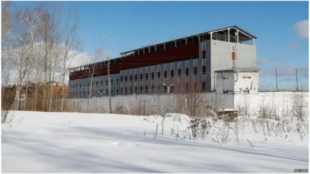 अॅलेक्सी नवालनी, व्लादिमीर पुतिन, रशिया, अमेरिका, युरोपीय महासंघ, ब्रिटन