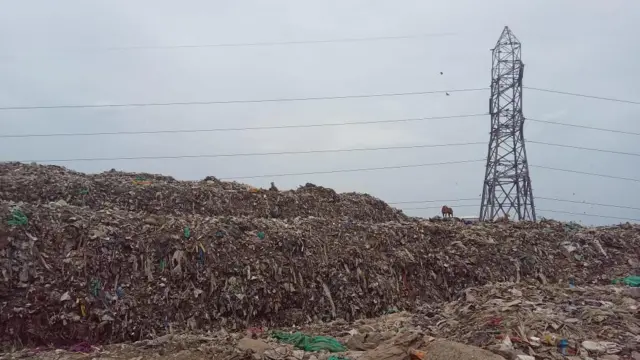 பெருங்குடி குப்பைக்கிடங்கு