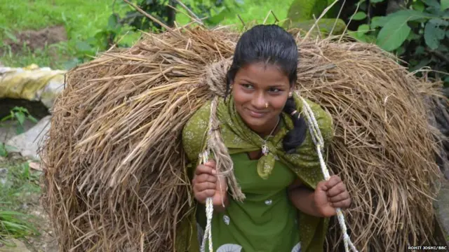 उत्तराखंड की खेती