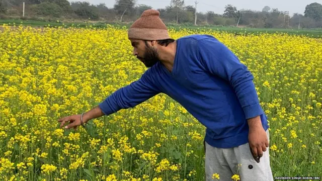 ਪਵਨਦੀਪ ਸਿੰਘ, ਮਧੂ ਮੱਖੀ ਪਾਲਕ