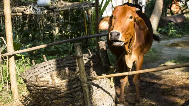 கோப்புபடம்