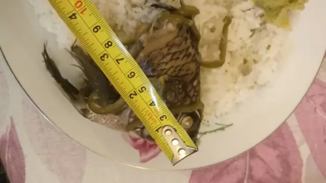 Upimwaji wa samaki waliopikwa wazua mjadala Tanzania