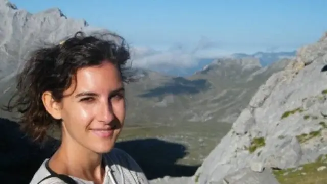 إيفيت تورنت