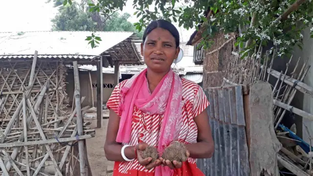 खानका लागि जंगलबाट ल्याएको गिठ्ठा देखाउँदै चिया मजदुर सम्झना उराउ