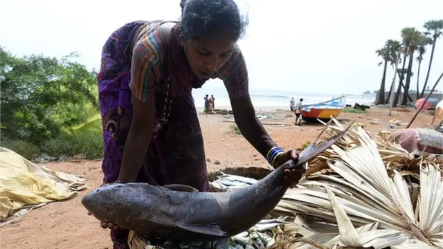 మత్స్యకార మహిళ