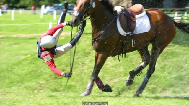 Há uma tremenda interação entre o cavaleiro e o cavalo