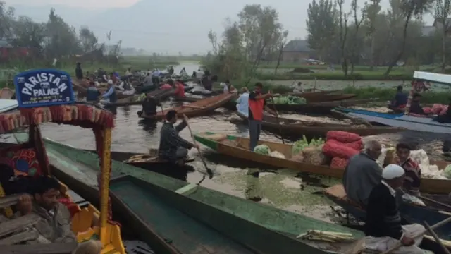 انڈیا، کشمیر، ڈل جھیل