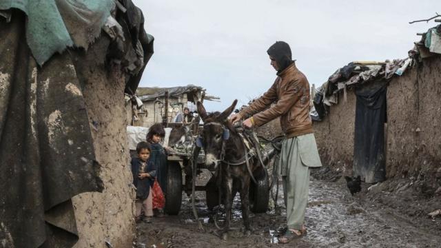 阿富汗移民家庭